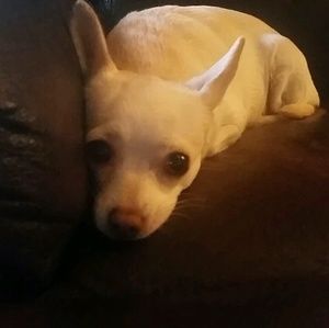 Meet your Posher, Lynette